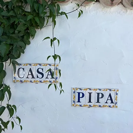 Willa Casa Pipa Alhaurin El Grande - Vrijstaande Casita Met Prive Zwembad En Grote Tuin Malaga Zewnętrze zdjęcie