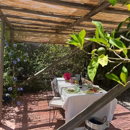 Willa Casa Pipa Alhaurin El Grande - Vrijstaande Casita Met Prive Zwembad En Grote Tuin Malaga Zewnętrze zdjęcie