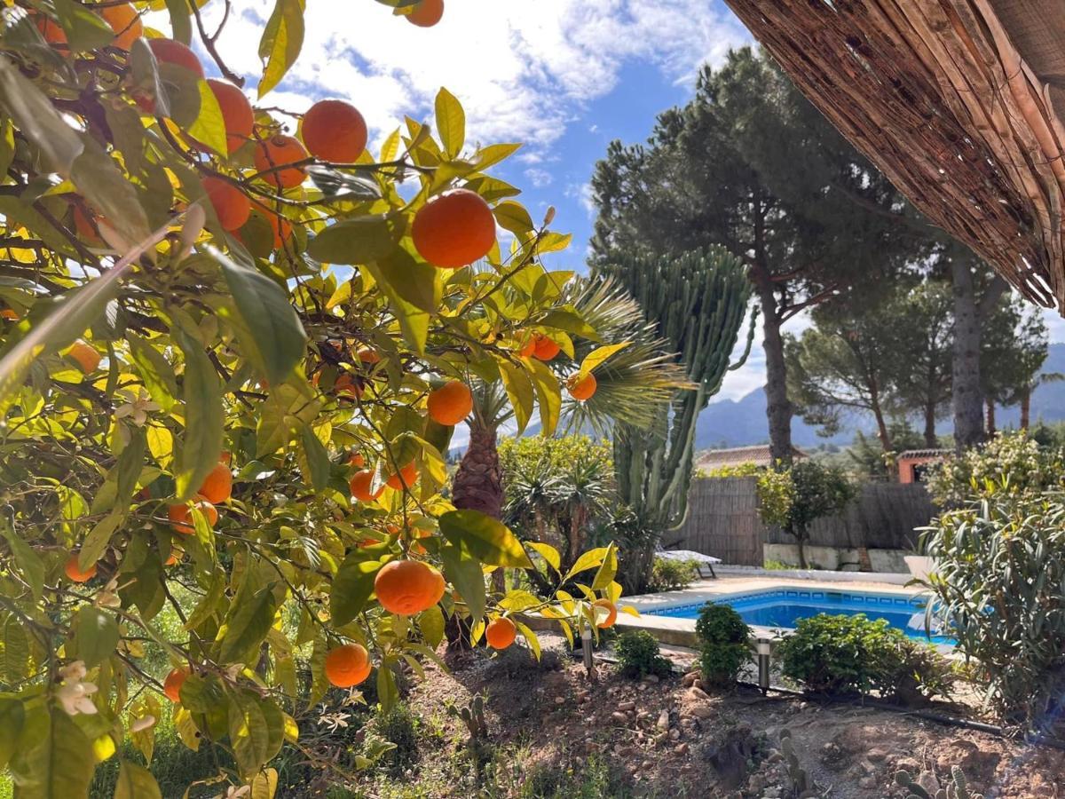 Casa Pipa Alhaurin El Grande - Vrijstaande Casita Met Prive Zwembad En Grote Tuin Malaga