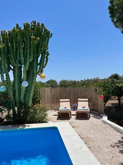 Dom wakacyjny Casa Pipa Alhaurin El Grande - Vrijstaande Casita Met Prive Zwembad En Grote Tuin
